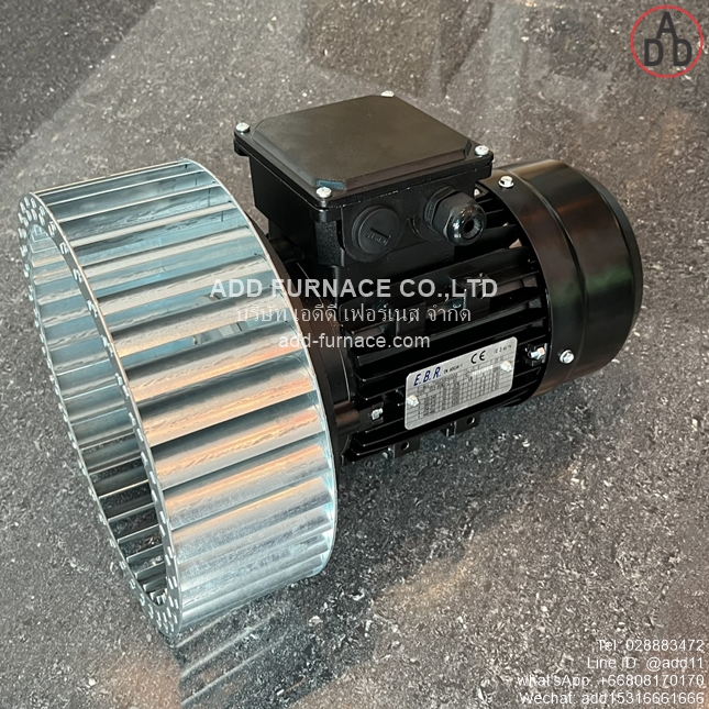 TYPE YE3-80M2-2 B5 With D250x84-D19 Fan Wheel (11)